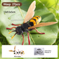 🐞 Gyermekrovar- és állat-szerelő játékok