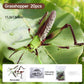 🐞 Gyermekrovar- és állat-szerelő játékok