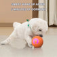 🐶INTERAKTÍV SMART PET BOUNCE LABDA – UGRIK, VILÁGÍT, SZÓRAKOZTAT!