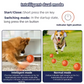 🐶INTERAKTÍV SMART PET BOUNCE LABDA – UGRIK, VILÁGÍT, SZÓRAKOZTAT!
