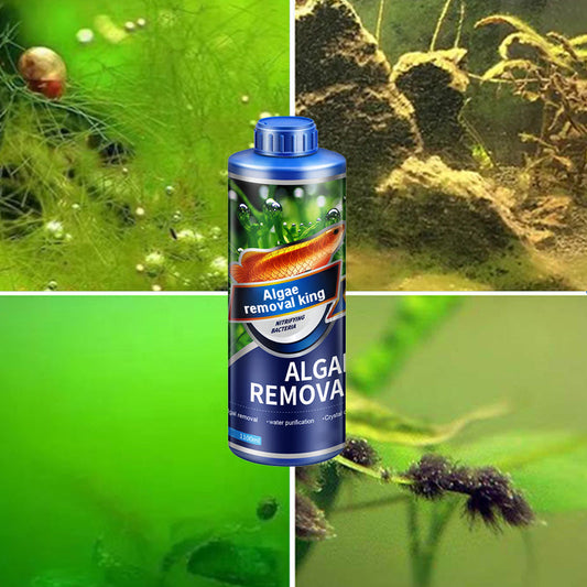【Algae King】Őrült vízi gyom algák eltávolító