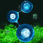 【Algae King】Őrült vízi gyom algák eltávolító