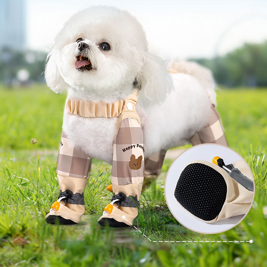 🐕Kültéri porálló nadrág kutyáknak🐾