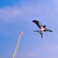 🦜🪁Innovatív horgászbot-sárkányok✨✨Könnyen irányítható, végtelen szabadtéri szórakozás a gyerekeknek!
