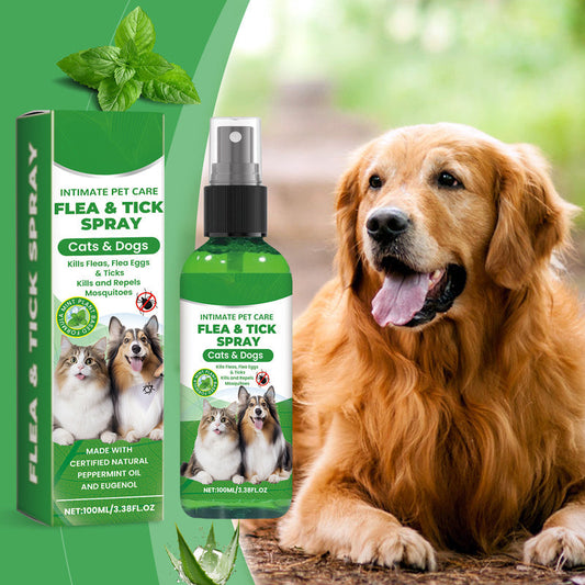 🍃 Természetes bolha- és kullancsirtó spray kutyáknak és macskáknak 🐾  🐶🐱✨