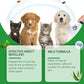 🍃 Természetes bolha- és kullancsirtó spray kutyáknak és macskáknak 🐾  🐶🐱✨